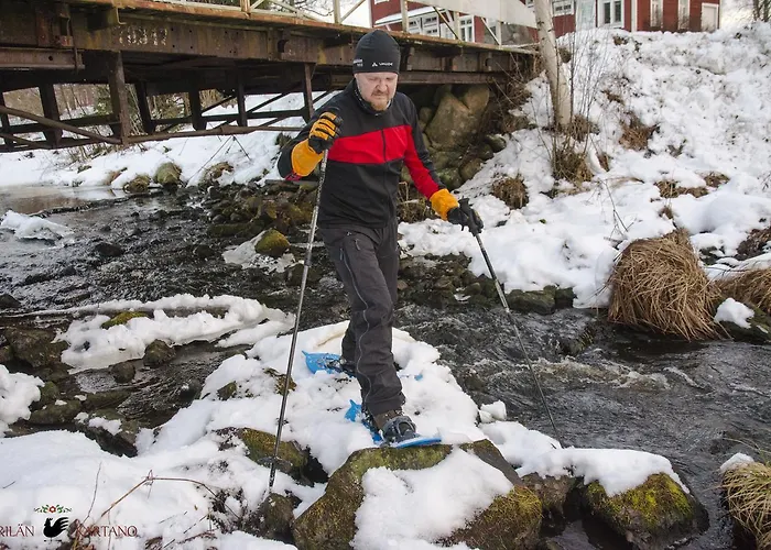 Merilaen Kartano Ξενοδοχείο *